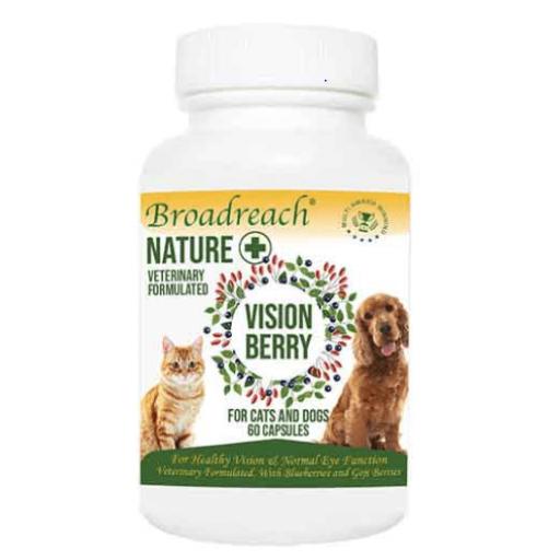 Vision Berry for Dogs and Cats, Puppies and Kittens 60 capsules