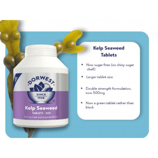 Kelp Seaweed Tablets For Dogs And Cats