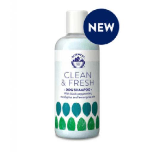 Clean & Fresh Cat Shampoo - 500ml