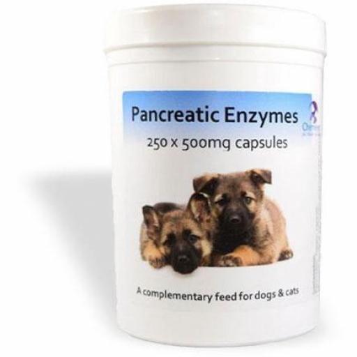 Pancreatic Enzyme Capsules