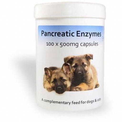 Pancreatic Enzyme Capsules -100 Capsules for Dogs and Cats