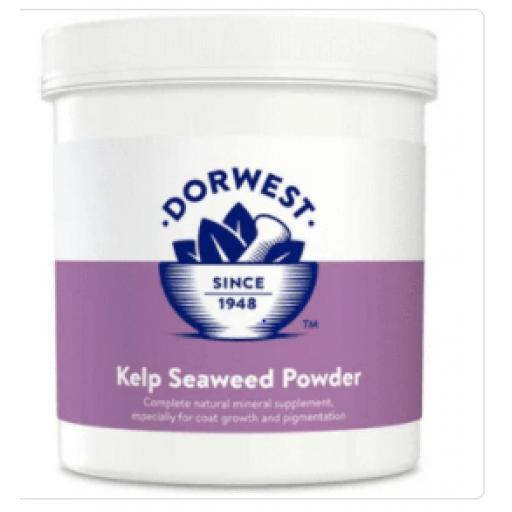 Kelp Seaweed Powder For Dogs And Cats