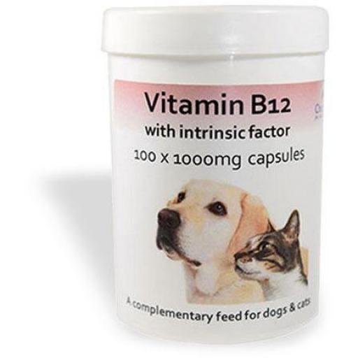 Vitamin B12 with Intrinsic Factor 100 x 1000mg Capsules for Cats