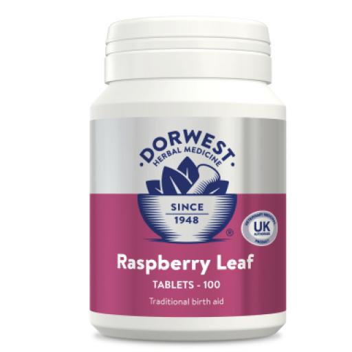 Raspberry Leaf Tablets For Dogs And Cats 100