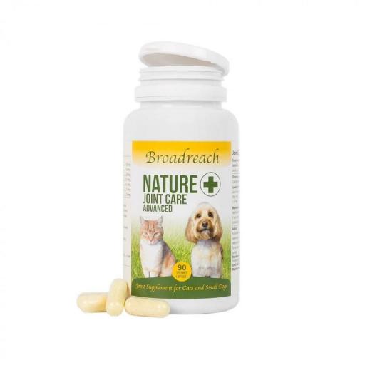 NATURE + JOINT CARE SMALL DOG AND CAT (90 CAPS) ADVANCED