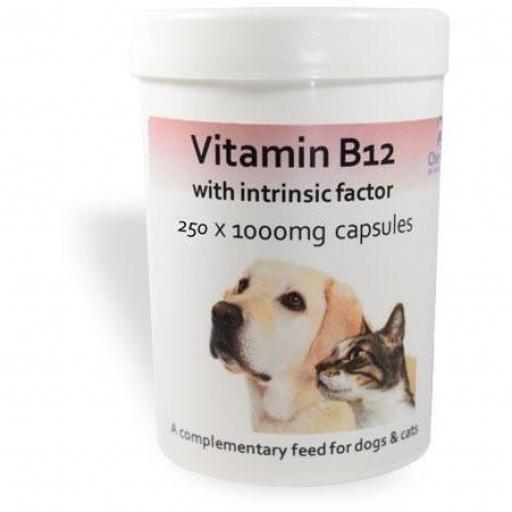Vitamin B12 with Intrinsic Factor 250 x 1000mg Capsules for Cats