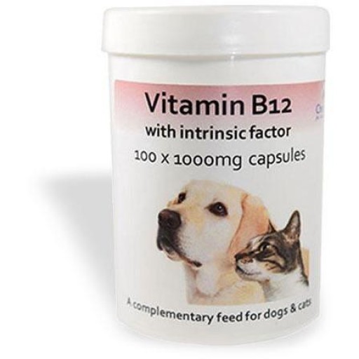 Vitamin-B12-with-Intrinsic-Factor-100-x-1000mg-Capsules-Chemeyes-1600194444.jpg